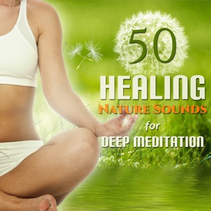 50 Healing Nature Sounds for Deep Meditation: Guided Yoga Exercises & Mindfulness, Chakra Healing, Asian Spa Massage, Yoga Poses, Stress Relief, New Age Music for Soothe Your Soul, Aid Sleep