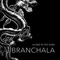 From Dusk Til Dawn - Branchala lyrics