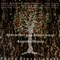 Darte una Serenata (with Sara Gonzalez) - Augusto Blanca lyrics