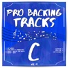 Pro Backing Tracks C, Vol. 19 artwork