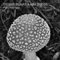 Psychotropic - Single - Dennis Bunas & Nektarios