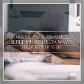 Sleep Music Delta Waves: Relaxing Music to Help you Sleep & Deep Sleep artwork