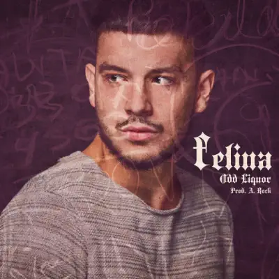 Felina (feat. Alberto Rock) - Single - Oddliquor