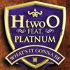 What's It Gonna Be (feat. Platnum) by H "two" O iTunes Track 1