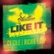 Like It (feat. Ce' Cile & Richie Loop) - DJ Stutter lyrics