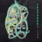 Bison - Trapdoor lyrics