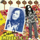 David Lindley - Hands Like A Man