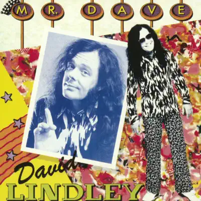 Mr. Dave - David Lindley Mr. Dave - David Lindley