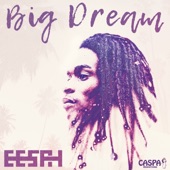 Big Dream artwork