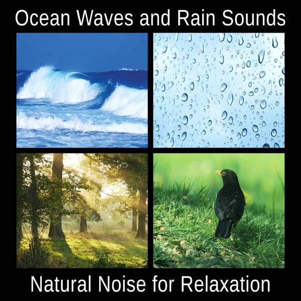 Ocean Waves and Rain Sounds: Natural Noise for Relaxation, Meditation and Trouble Sleeping, Chakra Healing