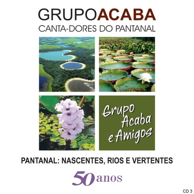 Pantanal: Nascentes, Rios e Vertentes 50 Anos - CD 3
