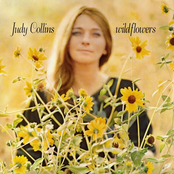 Cover artwork for Sky Fell