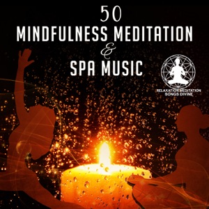 50 Mindfulness Meditation & Spa Music: Mind Peace, Yoga, Reiki, Massage, Calming Nature Sounds, New Age Music, Chakra Balancing