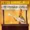 Theo - Peter Himmelman lyrics