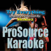 Try Everything (Originally Performed By Shakira) [Karaoke]