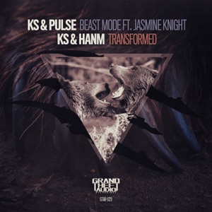 Beast Mode/ Transformed (feat. Hanm) - Single