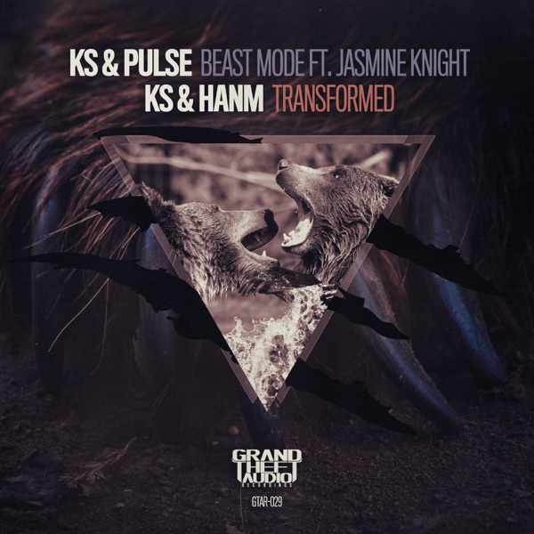 Beast Mode/ Transformed (feat. Hanm) - Single