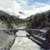 Insi