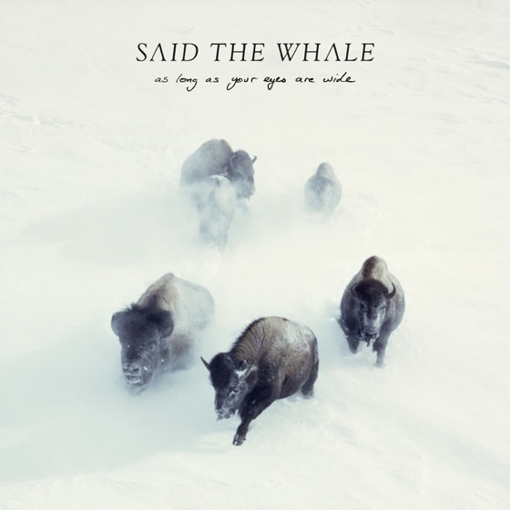 Cover artwork for Miscarriage