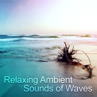 Relaxing Ambient Sounds of Waves (Experience the Serenity of Nature With Soothing Nature Sounds to Reduce Stress & Well Being) - Deep Relaxation Exercises Academy