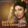 Best of Tulsi Kumar - Birthday Special - Tulsi Kumar