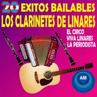 Los Tecolotes — Los Clarinetes De Linares