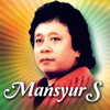 Platinum Success Mansyur S. - Mansyur S