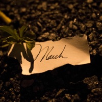 March - Single - Feverkin