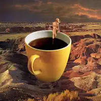 No Coffee — Amber Coffman