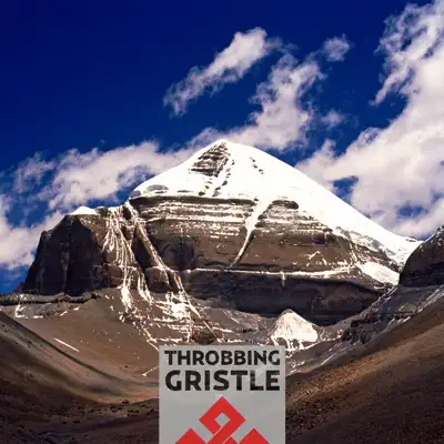 Part Two - The Endless Not (Remastered) - Throbbing Gristle