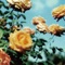 Relation~DELUXE EDITION~ ジャケット写真