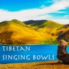 Tibetan Singing Bowls - Native Flute & Asian Indian Music for Chakra Healing and Massage Meditation
