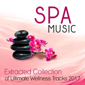 Spa Music: Extracted Collection of Ultimate Wellness Tracks 2017 Music Zen New Age & Healing Nature Sounds