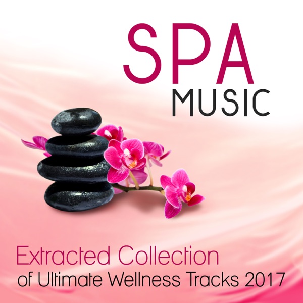 Spa Music: Extracted Collection of Ultimate Wellness Tracks 2017 Music Zen New Age & Healing Nature Sounds