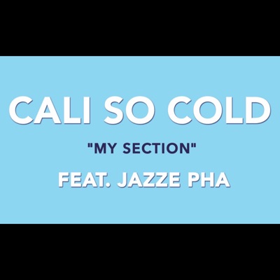 My Section (feat. Jazze Pha) - Single