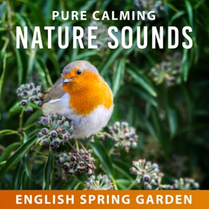 Pure Calming Nature Sounds: English Spring Garden Birds, Forest Songs to Calm Down, Deep Zen Meditation Music