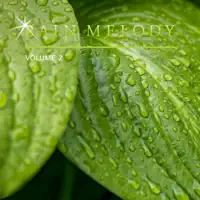 Light Ambience — Doug Michael