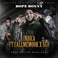 Indica (feat. CallMeMook & Sleeko Got Bars) - Single - Dope Donny