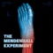 Find a Way Out (feat. Danny Lohner) - The Mendenhall Experiment lyrics