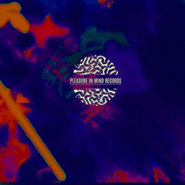 Night Experience MXMLN