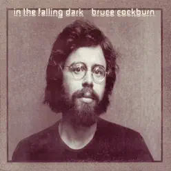 In the Falling Dark - Bruce Cockburn