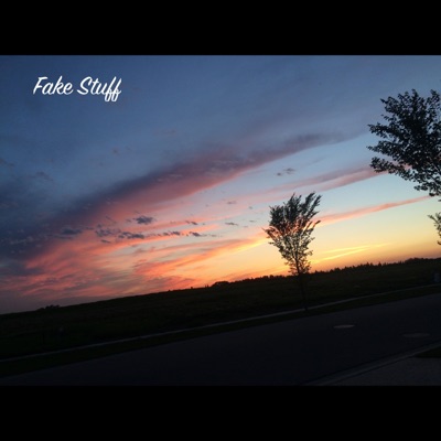 Fake Stuff - Single