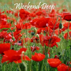 On Your Side Frogman