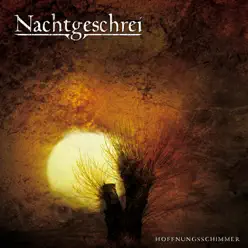 Hoffnungsschimmer - Nachtgeschrei