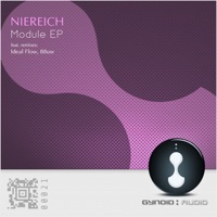 Module - Niereich