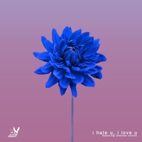 I Hate U, I Love U (feat. Chelsea Collins) - Single - We Rabbitz