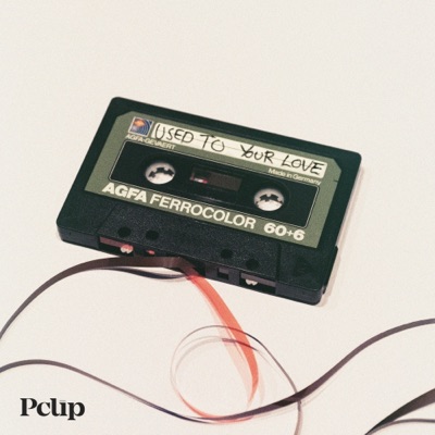 Used To Your Love - Single