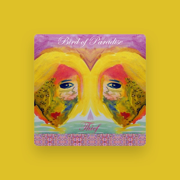 Bird Of Paradise's avatar