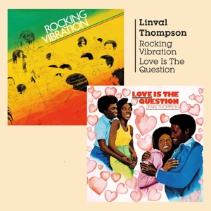 Rocking Vibration Love Is the Question