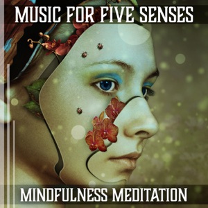 Music for Five Senses: Mindfulness Meditation, Tranquil Moments, Inner Peace Yoga, Healing Zen Garden